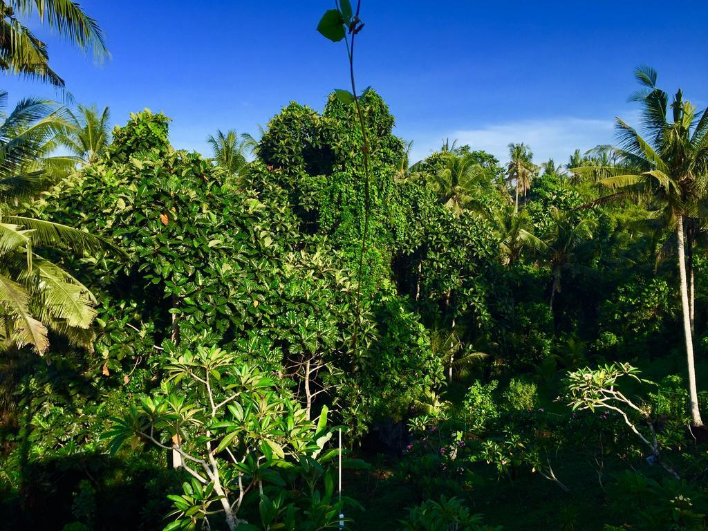 Tirta Arum Ubud Buitenkant foto